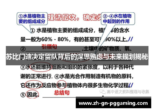 苏比门迪决定留队背后的深思熟虑与未来规划揭秘 苏比门迪决定留队背后的深思熟虑与未来规划揭秘