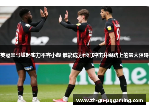 英冠黑马崛起实力不容小觑 谁能成为他们冲击升级路上的最大阻碍 英冠黑马崛起实力不容小觑 谁能成为他们冲击升级路上的最大阻碍