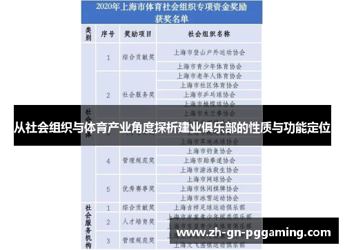 从社会组织与体育产业角度探析建业俱乐部的性质与功能定位 从社会组织与体育产业角度探析建业俱乐部的性质与功能定位