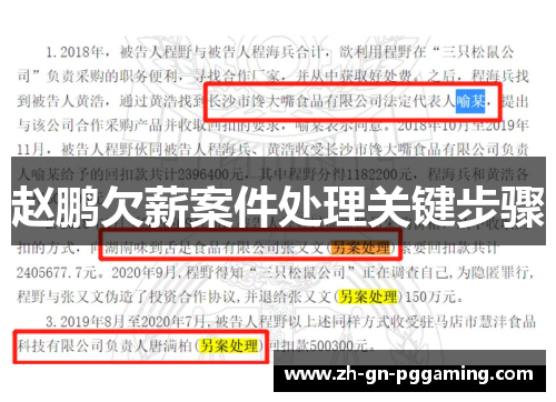 赵鹏欠薪案件处理关键步骤